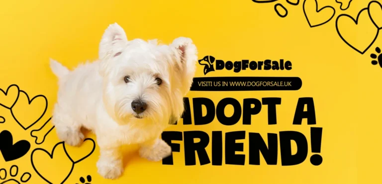 Should You Buy or Adopt a Dog? A Guide for UK Pet Lovers