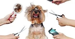 The Benefits of Cordless Dog Grooming Clippers A Comprehensive Guide