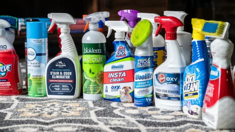 How to Choose the Best Carpet Stain Removal Solution for Your Home