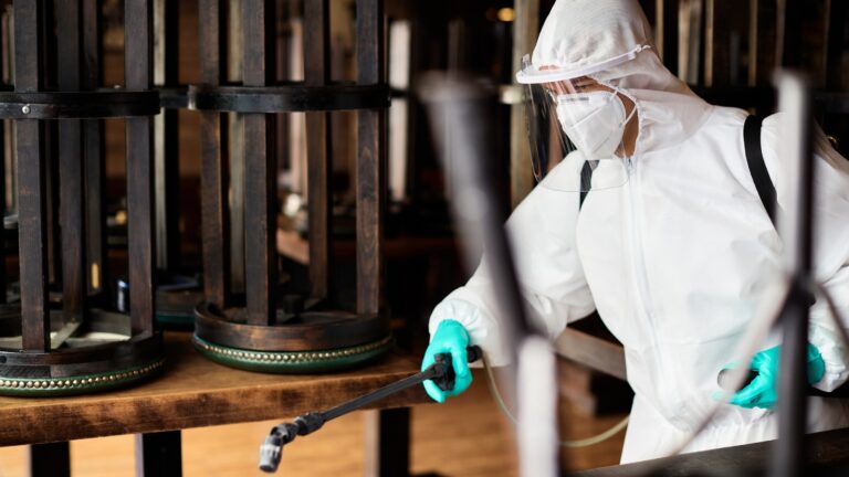 Why Choose Expert Disinfection Services Singapore for Your Property